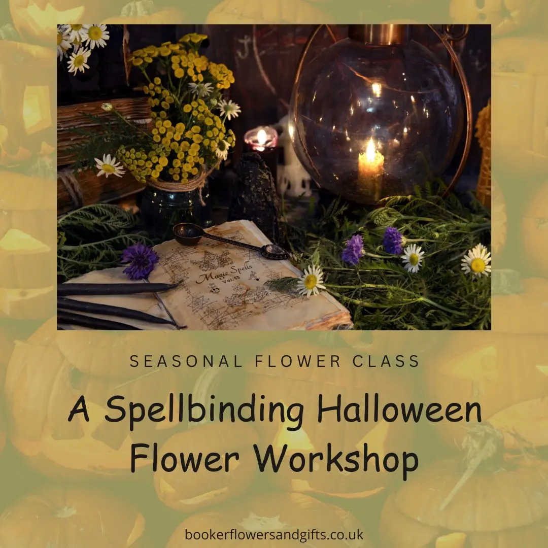 Witches Flower Broomstick Workshop